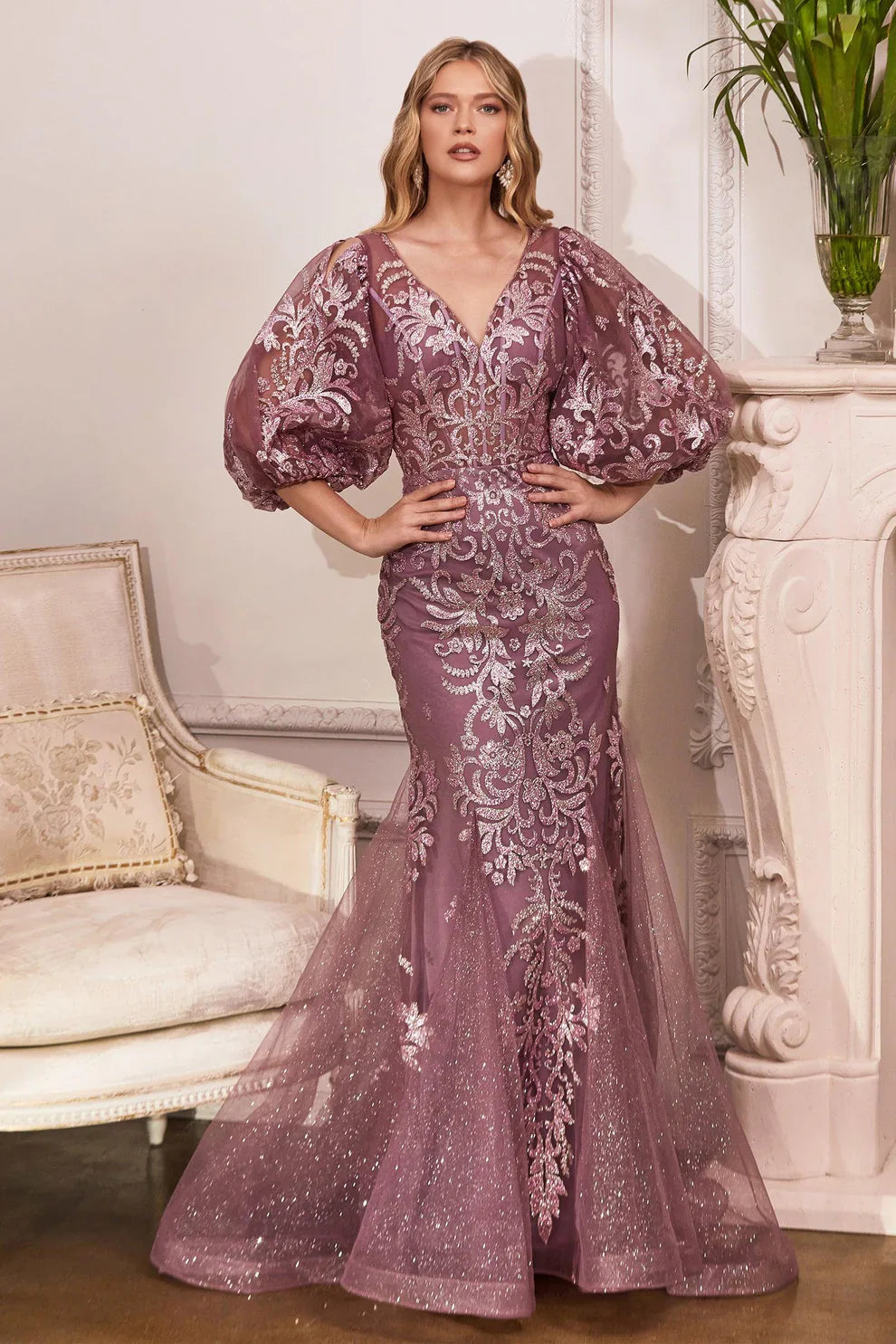 Plus Size Prom Dresses With Sleeves