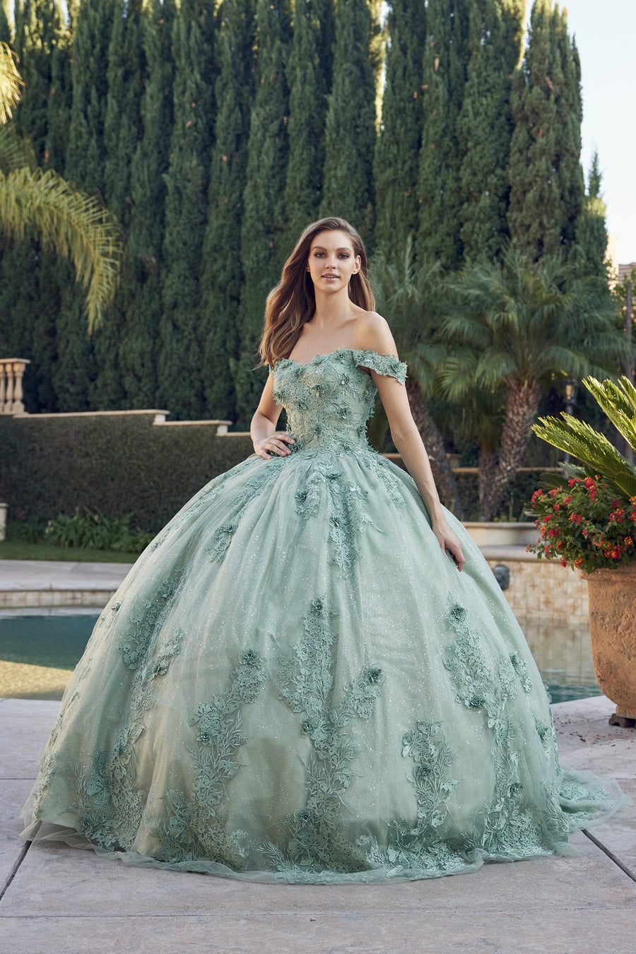 Quinceniera Dresses Long Quinceanera Off Shoulder Ball Gown Sage Green