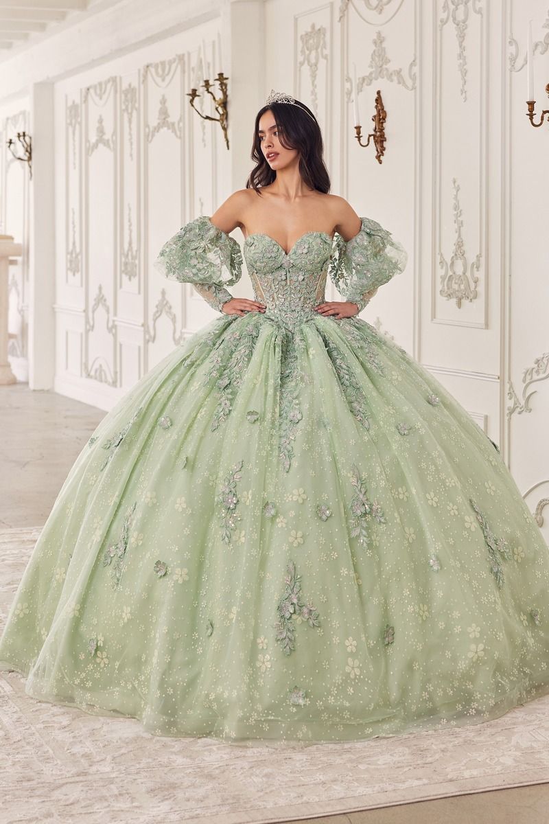 Quinceanera Dresses Long Quinceanera Detachable Sleeve Ball Gown Sage