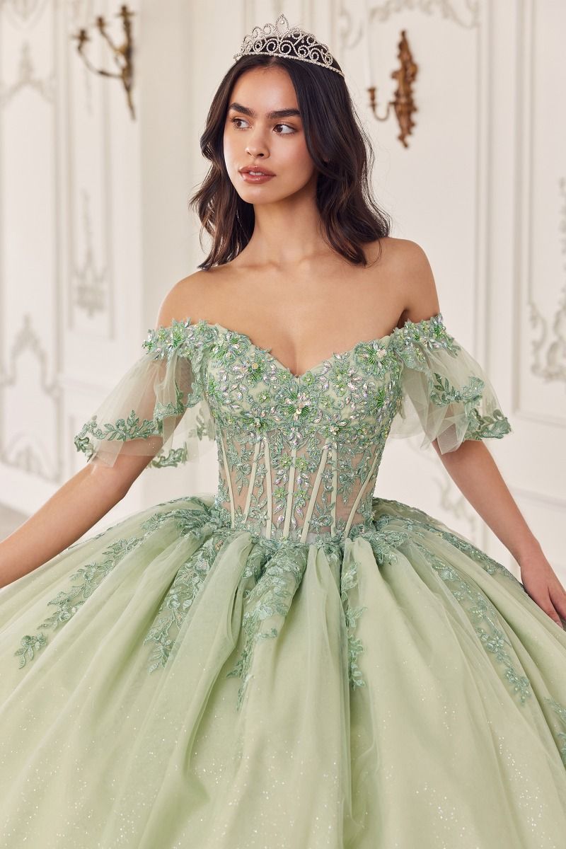 Sage Cinderella Divine 15725 Long Quinceanera Ball Gown for $975.0 ...