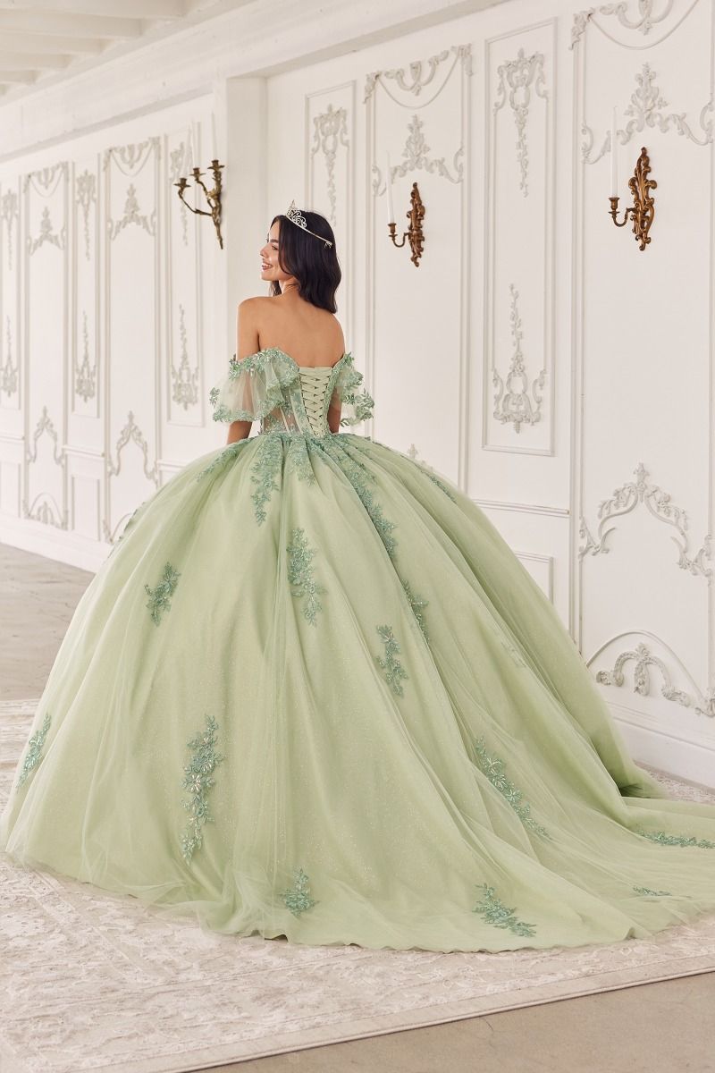 Quinceanera Dresses Long Quinceanera Ball Gown Sage