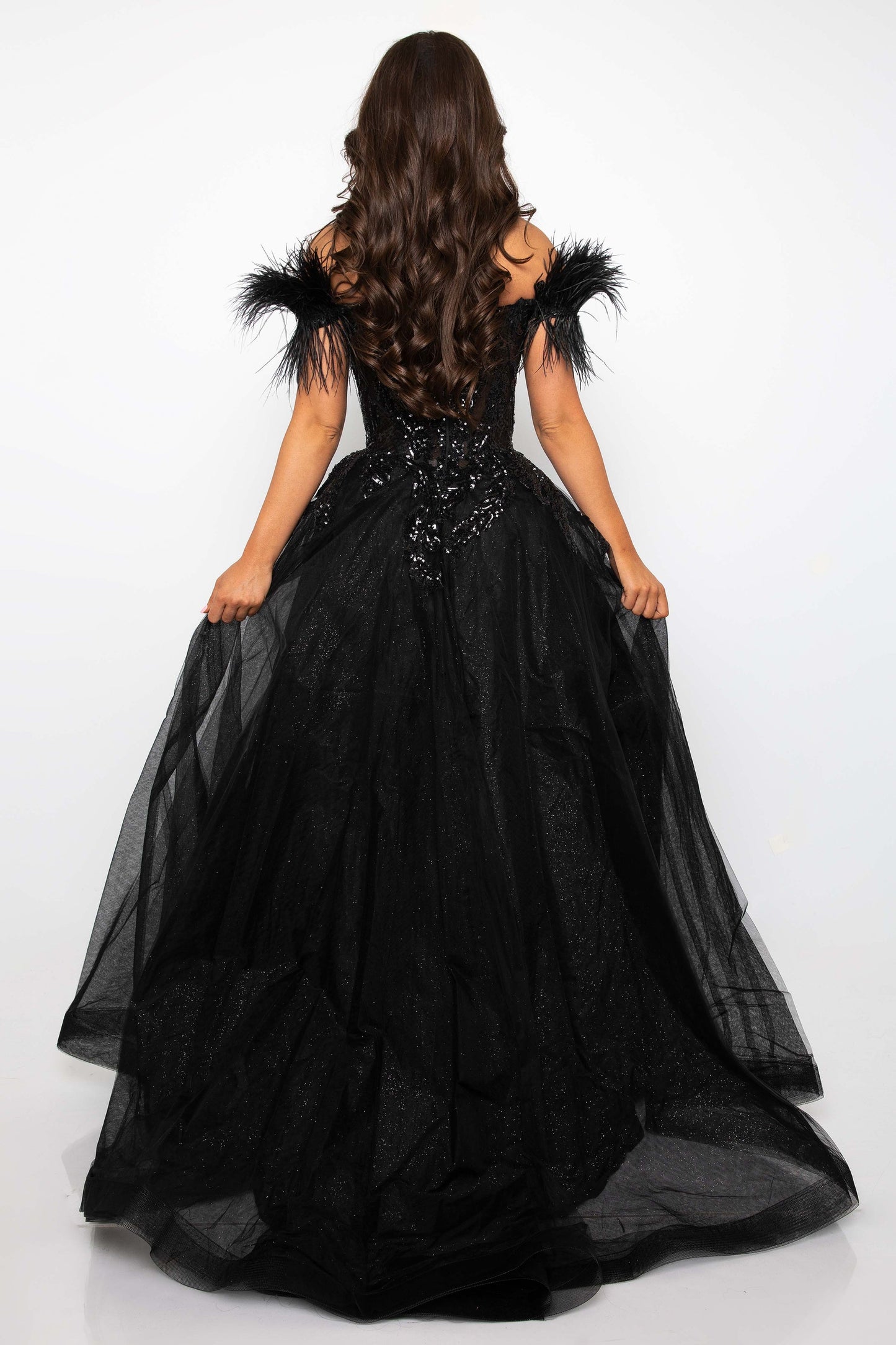 Prom Dresses Formal Prom Long Sequin Feather Dress Black