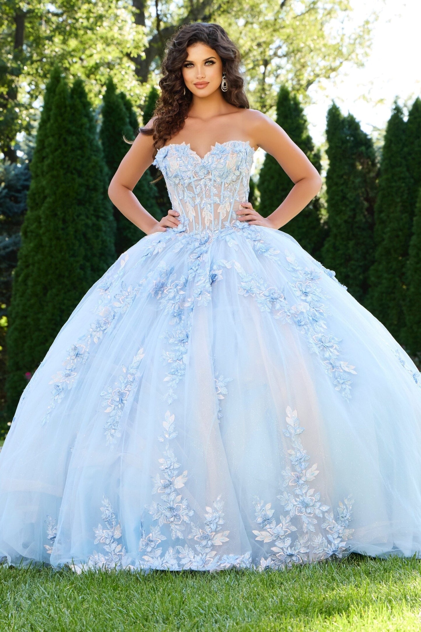 Quinceniera Dresses Sweet 16 Long Ball Gown Floral Quinceanera Dress Light Blue