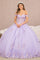 Quinceniera Dresses Applique Jewel Quinceanera Long Tail Ball Gown Lilac