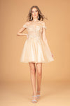 Cocktail Dresses Babydoll Homecoming Short Dress Champagne