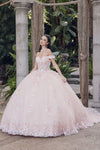 Quinceniera Dresses 3D Quinceanera Lace Ball Gown Blush