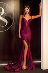 Prom Dresses Long Fitted Prom Dress Plum