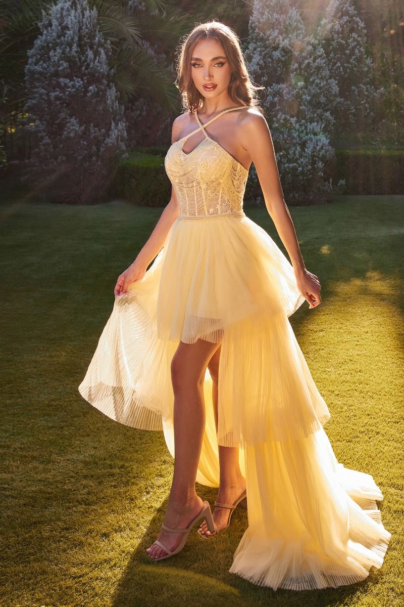 Prom Dresses High Low Beaded Formal Prom Halter Dress Light Yellow