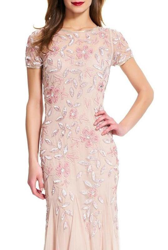 Blush Adrianna Papell AP091897240 Scoop Sleeve Keyhole Mesh Dress