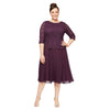 Alex Evenings Short Plus Size Chiffon Dress 4121796 - The Dress Outlet