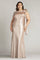 Formal Dresses Plus Size Long Formal Evening Dress Antique Pink