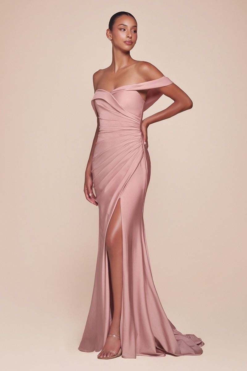 Prom Dresses Long Formal Fitted Evening Plus Size Dress  Dusty Rose