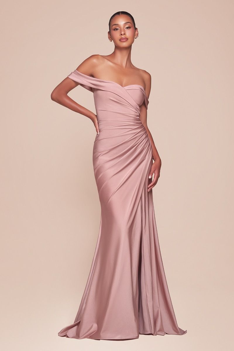 Prom Dresses Long Formal Fitted Evening Plus Size Dress  Dusty Rose