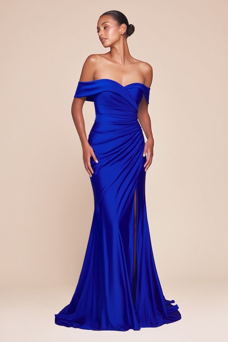 Prom Dresses Long Formal Fitted Evening Plus Size Dress  Royal