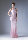 Formal Long Fitted Dress - The Dress Outlet