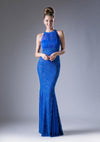 Formal Long Fitted Dress - The Dress Outlet