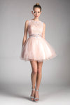 Homecoming Short Dress Beaded Lace Cocktail Prom - The Dress Outlet Cinderella Divine