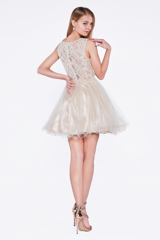 Blush Cinderella Divine Cd0117 Homecoming Short Dress Beaded Lace Cocktail Prom For 7299 The 8034