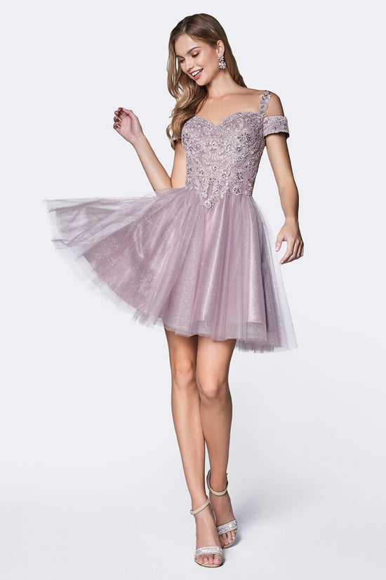 Blush Cinderella Divine Cd0132 Short Prom Formal Homecoming Dress For 1350 The Dress Outlet 5750