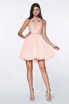 Prom Short Cocktail Homecoming Dress - The Dress Outlet Cinderella Divine