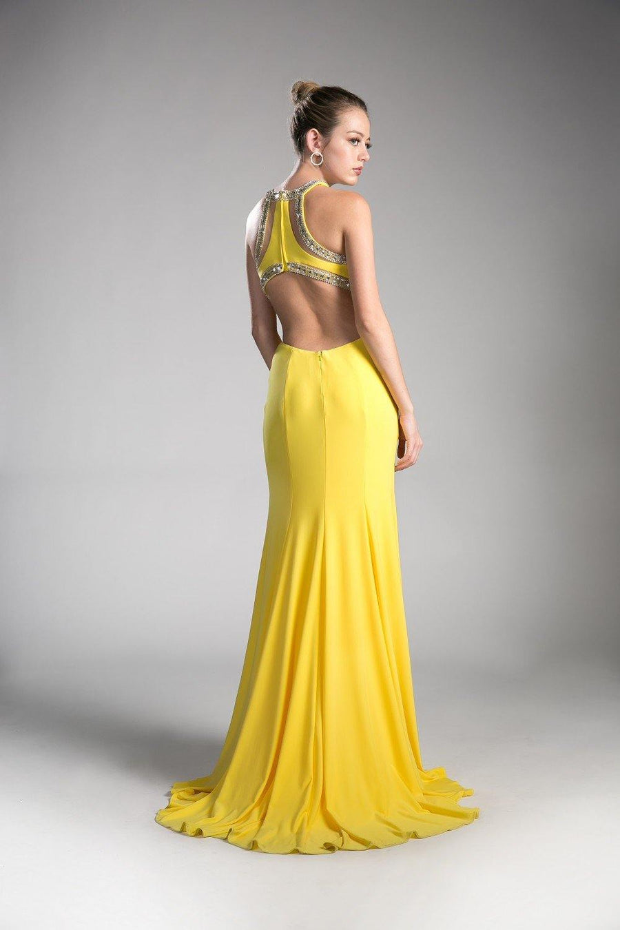 Open Back Prom Long Fitted Dress - The Dress Outlet