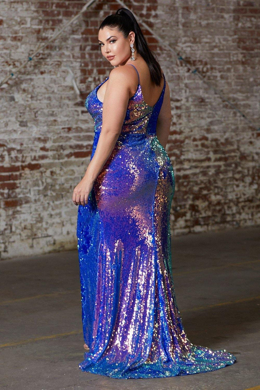 Iridescent Long Fitted Prom Dress Plus Size - The Dress Outlet