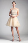 Prom Short Cap Sleeve Lace Homecoming Dress - The Dress Outlet Cinderella Divine