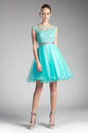 Prom Short Cap Sleeve Lace Homecoming Dress - The Dress Outlet Cinderella Divine