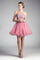 Short Prom Halter Lace Bodice Homecoming Dress - The Dress Outlet Cinderella Divine