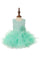 Cute Lace Sequin Top Ruffle Tulle Skirt Dress - The Dress Outlet Cinderella Couture