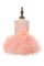 Cute Lace Sequin Top Ruffle Tulle Skirt Dress - The Dress Outlet Cinderella Couture