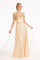 Glitter Print Mesh Long Prom Dress - The Dress Outlet Elizabeth K Champagne