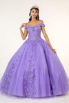 Jewel Embellished Long Mesh Quincenera Dress - The Dress Outlet