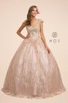 Long Prom Dress Glitter Mesh Ball Gown - The Dress Outlet Nox Anabel