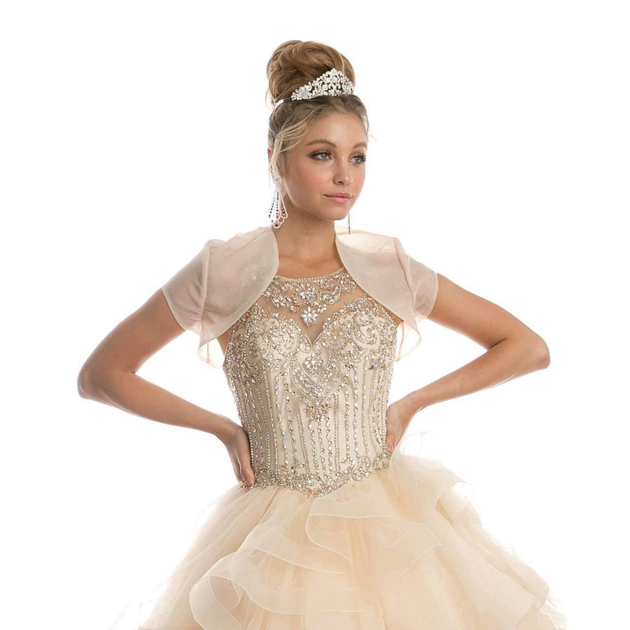 Long Quinceanera Ruffled Ball Gown - The Dress Outlet Juliet