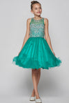 Short Beaded and Tulle Party Dress Flower Girl - The Dress Outlet Cinderella Couture