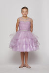 Short Beaded Illusion Neckline Flower Girl Dress - The Dress Outlet Cinderella Couture