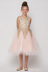 Short Gold Embroidered Gown Flower Girls Dress - The Dress Outlet Cinderella Couture