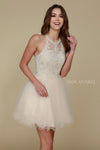 Short Tulle Prom Homecoming Dress - The Dress Outlet Nox Anabel