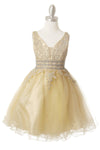 Sleeveless Flower Girl Dress - The Dress Outlet Cinderella Couture