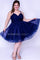 Sydneys Closet Short Homecoming Plus Size Prom Dress - The Dress Outlet