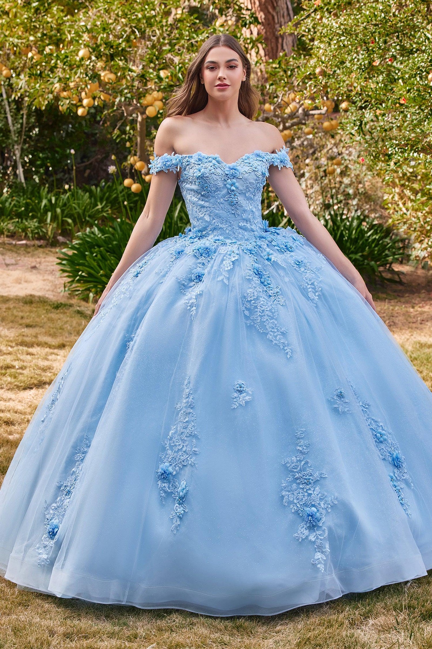 Quinceanera Dresses Quinceanera Dress Long Sweet 16 Ball Gown Light Blue