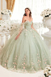 Quinceniera Dresses Long Floral Applique Quinceanera Ball Gown 