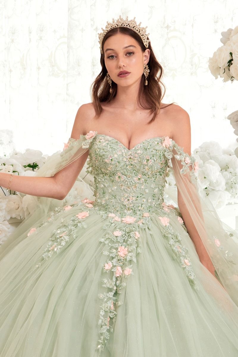 Quinceniera Dresses Long Floral Applique Quinceanera Ball Gown 