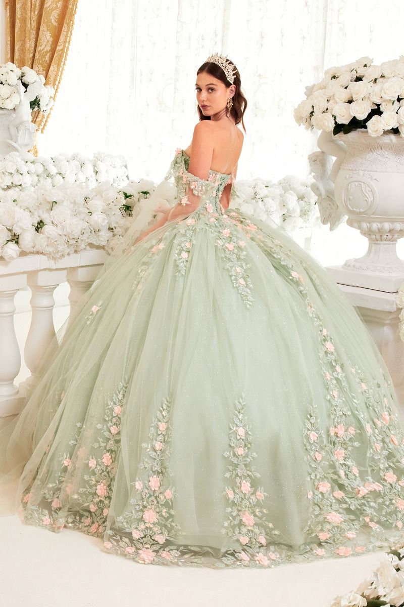 Quinceniera Dresses Long Floral Applique Quinceanera Ball Gown 