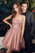 Prom Dresses Short Sleeveless Prom Dress Blush