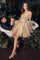 Prom Dresses Short Sleeveless Prom Dress Champagne