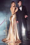 Prom Dresses Sleeveless Prom Dress Champagne