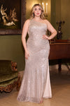 Prom Dresses Plus Size Formal Prom Long Dress Platinum