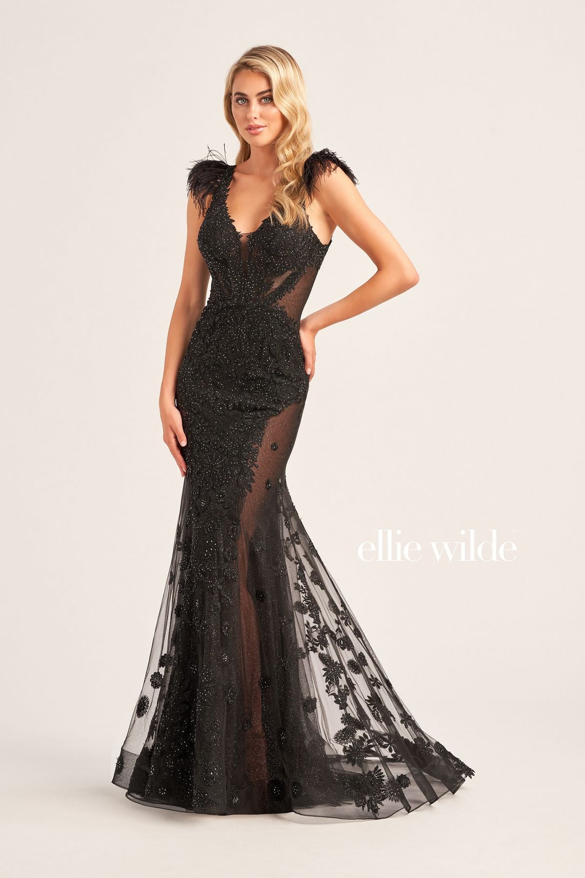 Prom Dresses Prom Long Formal Detachable Feather Dress Black